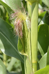 Similar image 6510704