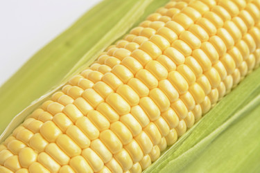 Similar image 6510711