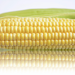 Similar image 6510712