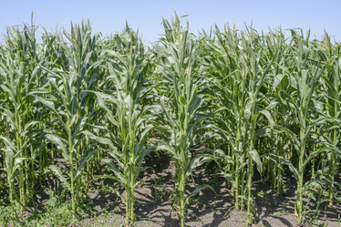 Similar image 6510715