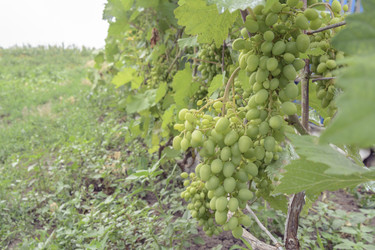 Similar image 6510717