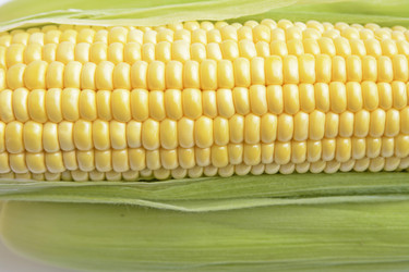 Similar image 6510723