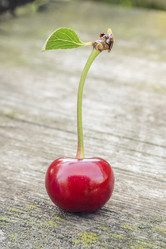 Similar image 6510736