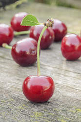 Similar image 6510737