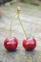 Similar image 6510738