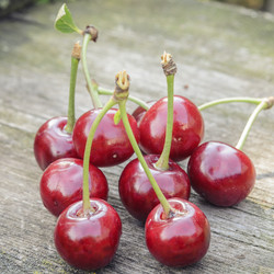 Similar image 6510739