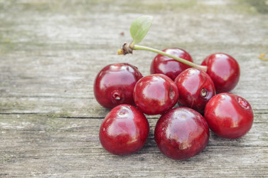 Similar image 6510741