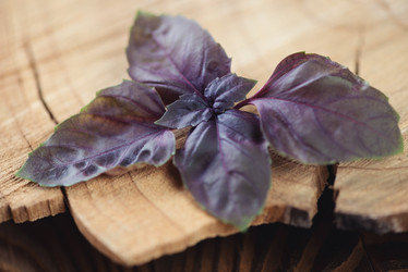 Similar image 6510934