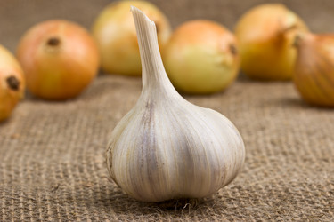 Similar image 6510948