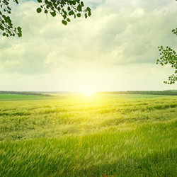 Similar image 6510951