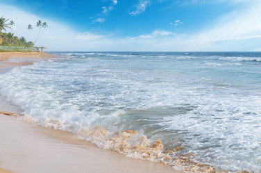 Similar image 6510954