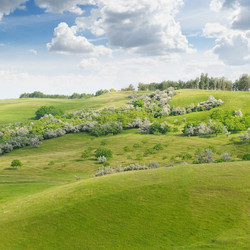 Similar image 6510958