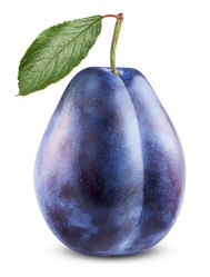 Similar image 6511006