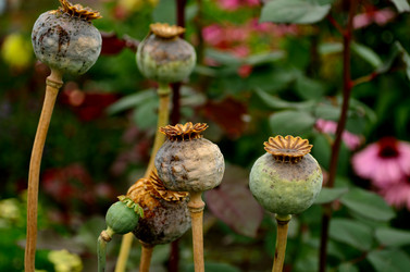 Similar image 6511058