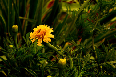 Similar image 6511059