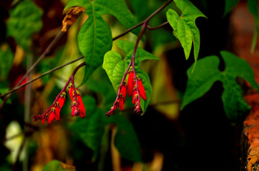 Similar image 6511060