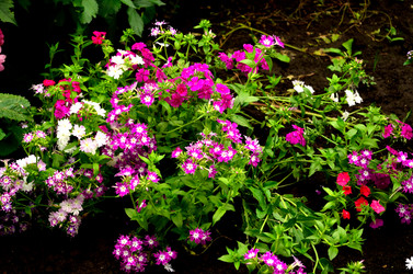 Similar image 6511062