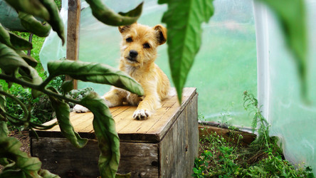 Similar image 6511070