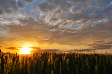 Similar image 6511072