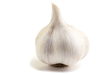 Similar image 6511081