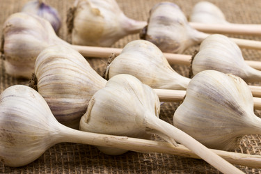 Similar image 6511082