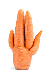 Similar image 6511083