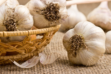 Similar image 6511084