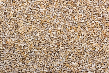 Similar image 6511099