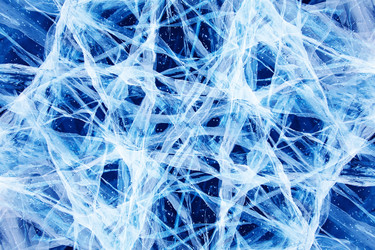 Similar image 6511708