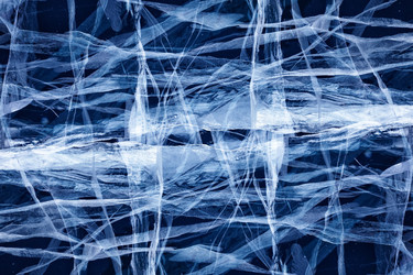 Similar image 6511727