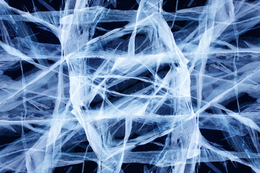 Similar image 6511735