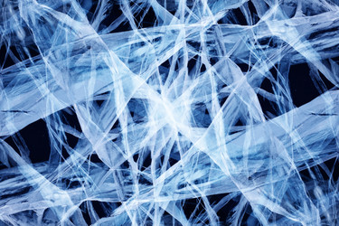 Similar image 6511743