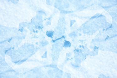 Similar image 6511744