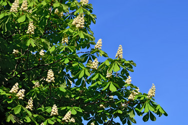 Similar image 6511833