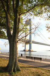 Similar image 6511858