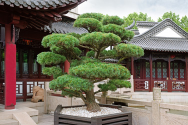 Similar image 6511870