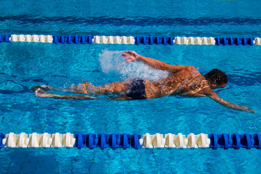 Similar image 6511897