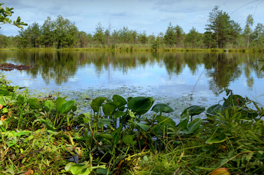 Similar image 6511964