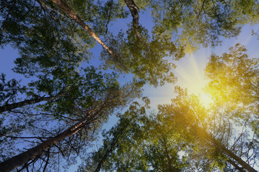 Similar image 6511972