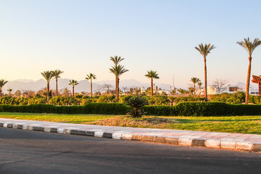 Similar image 6511981