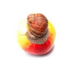 Similar image 6512108