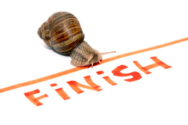 Similar image 6512109