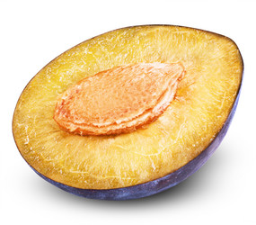 Similar image 6512117