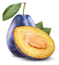 Similar image 6512127