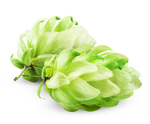 Similar image 6512132