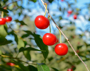 Similar image 6512138