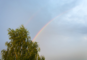 Similar image 6512139