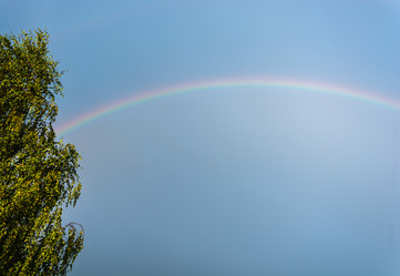 Similar image 6512140