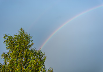 Similar image 6512141