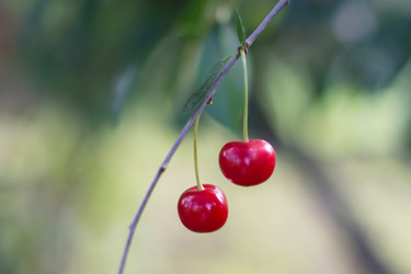 Similar image 6512142